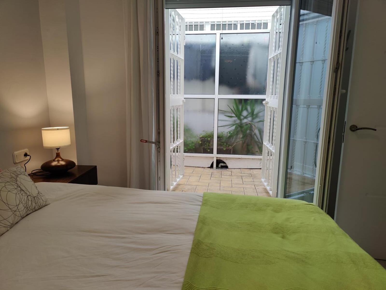 Luminoso Apartamento Exterior Con Balcon Y Patio En Centro Historico Feria-Alameda 塞维利亚 外观 照片